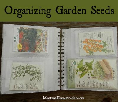 Organizing-Garden-Seeds-Montana-Homesteader.jpg