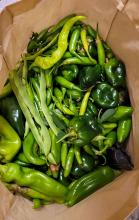 Bag of hot peppers and green beans